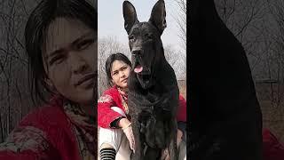 This dog is creating the new generation 772