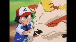 Ash Grooming Arcanine