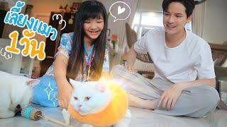 อินเตอร์ลองเลี้ยงแมวพี่เต๋าหนึ่งวัน!! | เตอร์ติดเต๋า EP.01