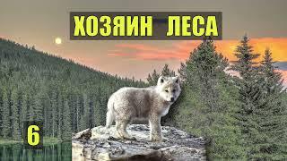 ВОЛК - МОЙ ПРОВОДНИК в ЧАЩУ ЛЕСА ХОЗЯИН СУДЬБА в ТАЙГЕ ИСТОРИИ из ЖИЗНИ ОТШЕЛЬНИК в ЛЕСУ СЕРИАЛ 6