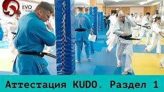 KUDO. DanTest. Раздел 1 - Техника ударов на месте