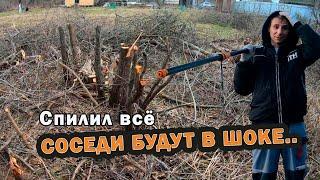 Фруктовые дрова для шашлыка  / Из Москвы в деревню 63