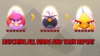 Angry Birds Evolution Bird Festival - Hatching All Six Star Birds and Event Battle #angrybirds