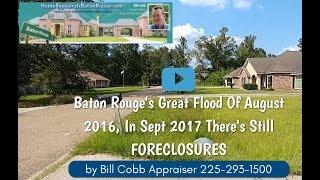 Baton Rouge Flooded Home Appraiser Video