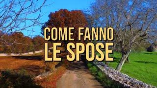 Come Fanno le Spose — Corto