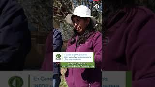 INFOR realiza Taller de Agroforestería y OCAS para zonas áridas