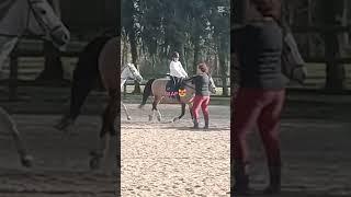 #equestrian #horse 🩷🩷