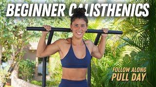 Beginner Calisthenics Pull Workout (Follow Along 45mins)