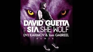 David Guetta feat. Sia - She Wolf (DVJ KARIMOV & Tom GABREEL remix)  top hits only