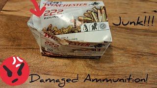 Buying Ammo Online VS In Store! What's Best?