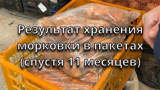 Результат хранения морковки в пакетах спустя 11 месяцев