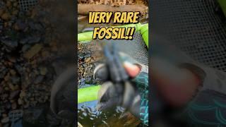 This Fossil Could be DONATED to the Museum!