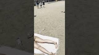  Sunny day at Barcelona beach Spain