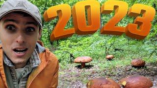 There are no people in the forest. And PORCINI MUSHROOMS - their SEA!!! 2023