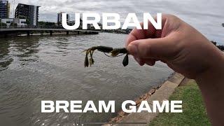 LIGHT TACKLE BREAM | JDM TACTICS 