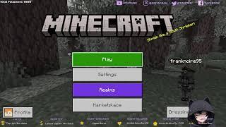 frank is playing  minecraft