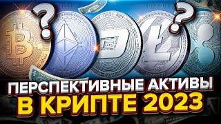 Перспективные криптовалюты на 2023 год. Какую крипту купить, чтобы продать через 1 год?