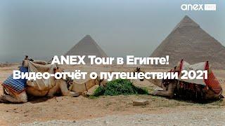 ANEX Tour в Египте 2021! Видео-отчёт о путешествии