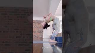 EASY Yoga Poses for Complete Beginners  Yoga With Helen