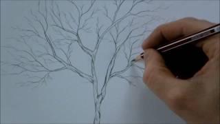 How to Draw a Tree Step by Step for Beginners In 8 Minutes