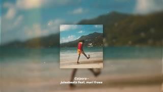 Caipora - juleebeats feat. Mari Froes