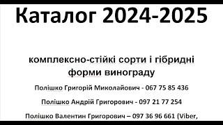 Каталог 2024-2025