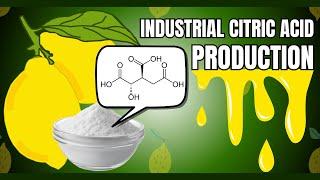 How Citric Acid is Made? From Fermentation to Purification | Industrial Microbiology