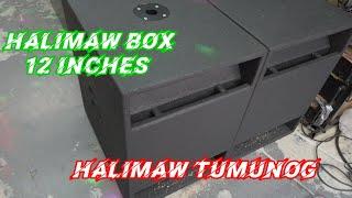 HALIMAW 12 INCHES HALIMAW DIN PALA TUMUNOG/PRO12 1000 LIVE//GST18 1500 P-AUDIO.