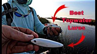 3 Best TOPWATER Lures for Saltwater Fishing