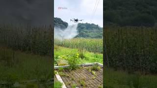 농업용 드론 DJI T60 후면 4노즐