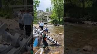 The stream in the city, this is Lishui, China, the city where I live, a fourth tier city.