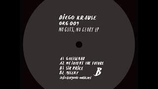 Diego Krause - We invent the future 0RG 009