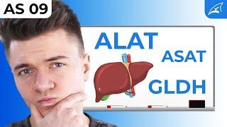 Transaminierung und Desaminierung - einfach erklärt! // Leberenzyme ALAT, ASAT & GLDH