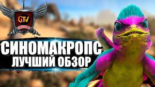 Синомакропс (Sinomacrops) в АРК. Лучший обзор: приручение, разведение и способности в ark.