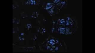Heather Nova, Exclusive, Live at Union Chapel - 2003 - Part 1