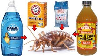 How to Get Rid of FLEAS FAST & NATURALLY (Baking Soda, Dish Soap, Apple Cider Vinegar, Salt, etc)