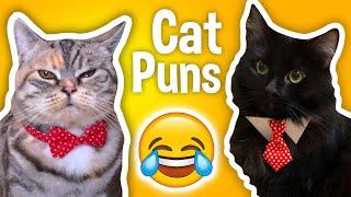 Terrible Cat Puns