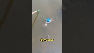 Как легко поймать много рыб #лайфхак