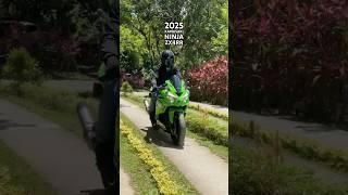 zx4rr serving the looks and sound  #kawasaki #ninja  #zx4rr #zx4r