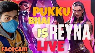 VALORANT LATE NIGHT LIVE - FACECAM!! CLOSE TO 665 SUBS!! PUKKU BHAI IS LIVE