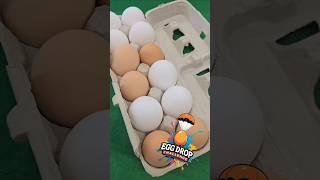 Egg Drop Challenge #elementary #science #stem #teacher #steam #experiment #engineering #eggdrop