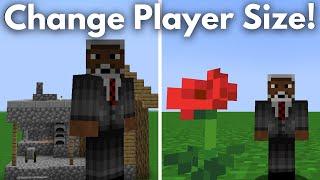 How To Change Your Size in Minecraft 1.21 (No Mods!)