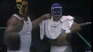 Atlantis vs Blue Panther (CMLL August 11th, 1991)
