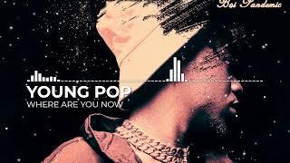 Young Pop - Where Are You Now (Visualizer)