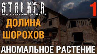 S.T.A.L.K.E.R. - Долина шорохов. Где найти аномальное растение.