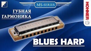 Обзор губной гармоники Hohner Blues Harp