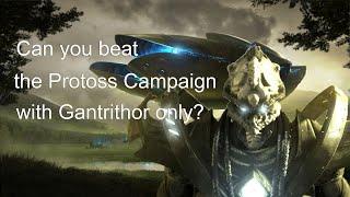 Can you beat the Protoss Campaign with Gantrithor only?