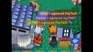 Animal Crossing:City Folk-Photo Album #3