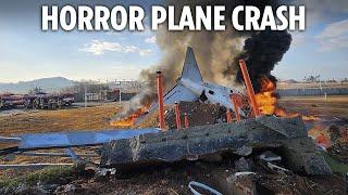 Tragedy as jet with 181 onboard crashes into wall at South Korean airport