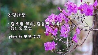 진달래꽃/김소월 작시, 김동진 작곡/ Sop 송광선 & photo by 모모수계